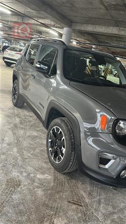 جيب رينيجيد